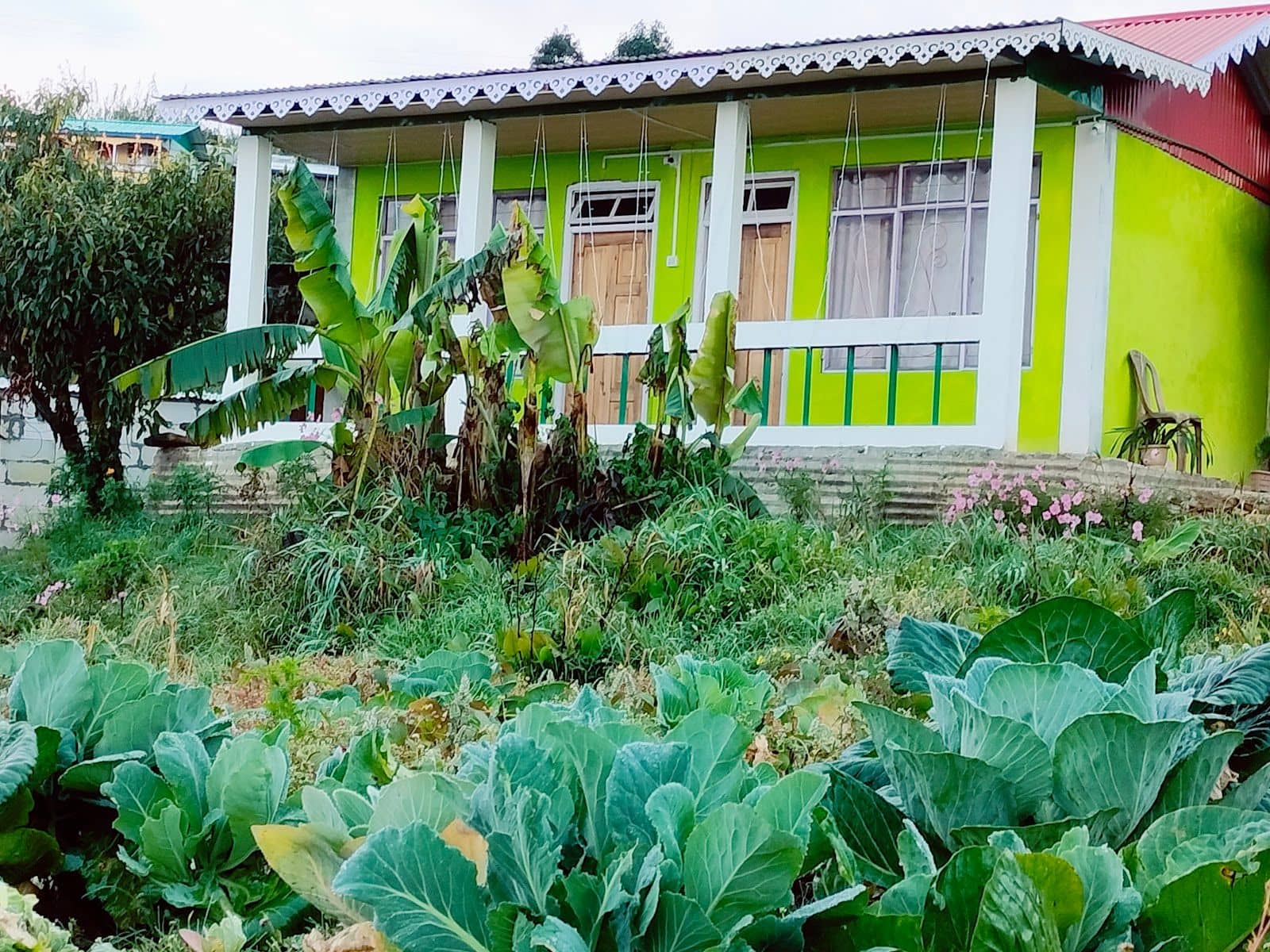 Sanctuary in the clouds - Chatakpur