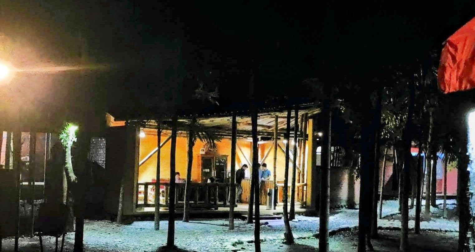 Betel Nut Grove , Safari Access, Assam in Assam 1