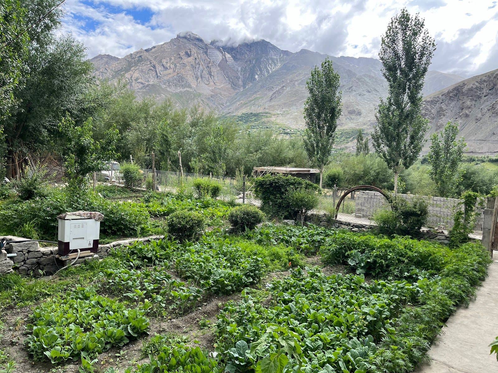 Organic Farm Homestay w/ Home Meals, Ladakh - Sankoo, Ladakh photo 5