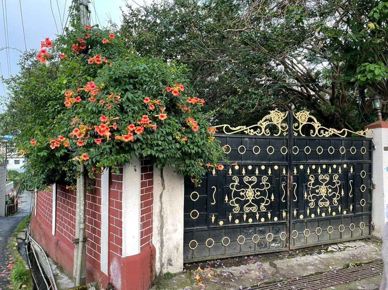 Cozy Shillong Homestay: Delicious Cooked Meals in Shillong 1