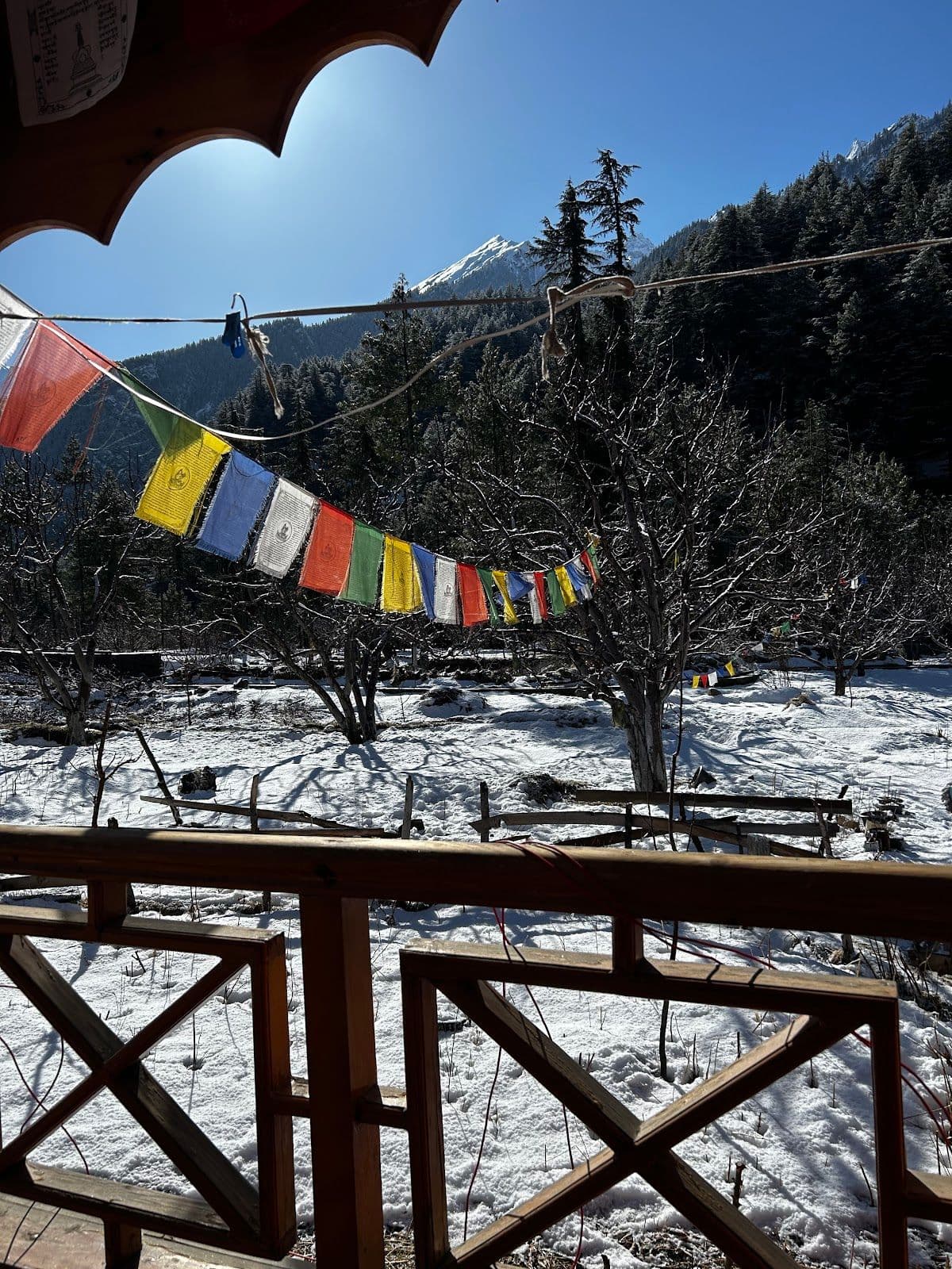 Riverfront Homestay w/ Organic Meals & Bonfire, Uttarakhand in Uttarakhand 8