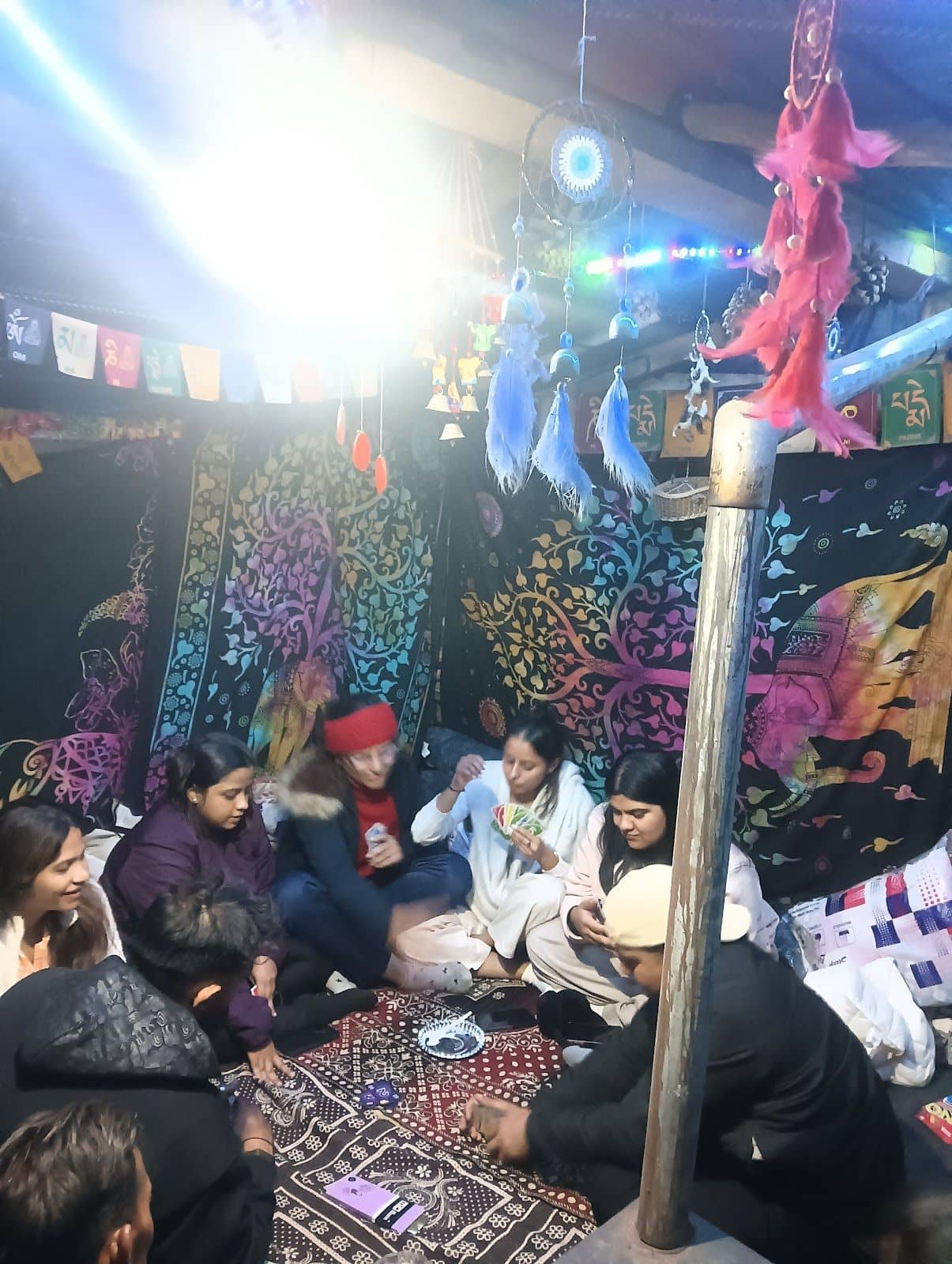 Mountain Camp w/ Bonfires & Stargazing, HP - Anni, HP photo 4