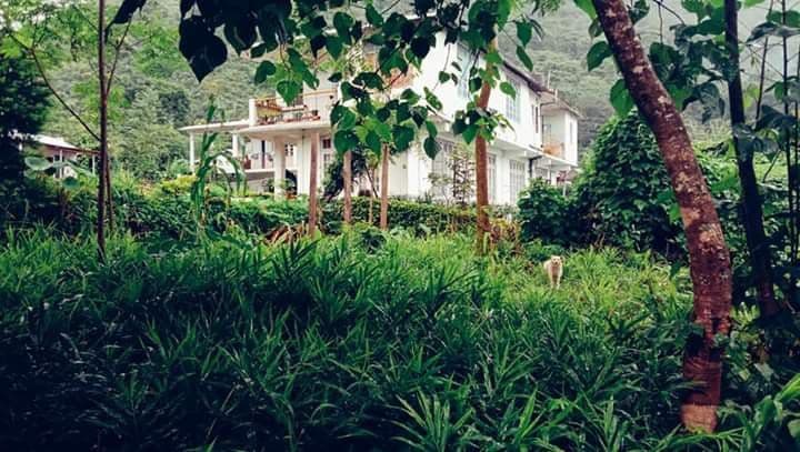 Host Rocco's Homestay w/ Naga Pork & Bonfire in Kohima 8