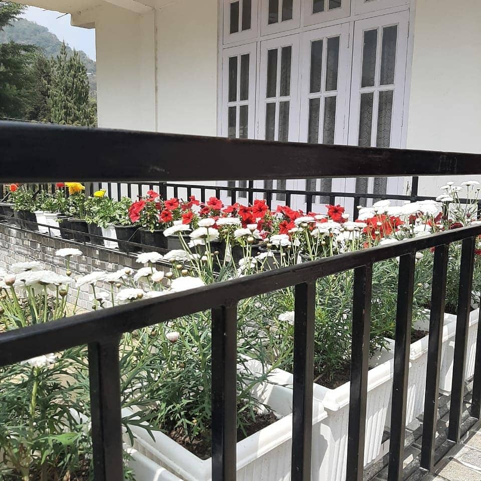 Dzukou Valley Base Homestay w/ Caring Hosts - Nagaland, Kigwema