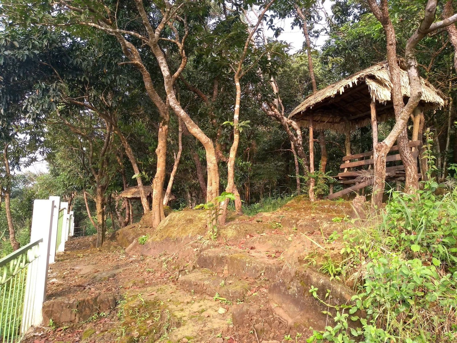 Secluded Jungle Retreat in Cherrapunji 8