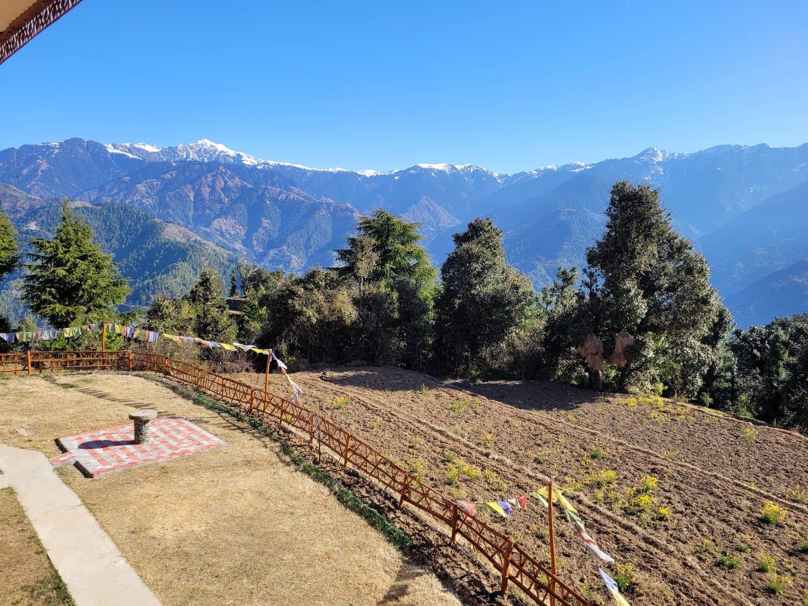 Offbeat Hill Cottage w/ Hikes & Home Meals, HP - Jhatingiri, Himachal Pradesh photo 5