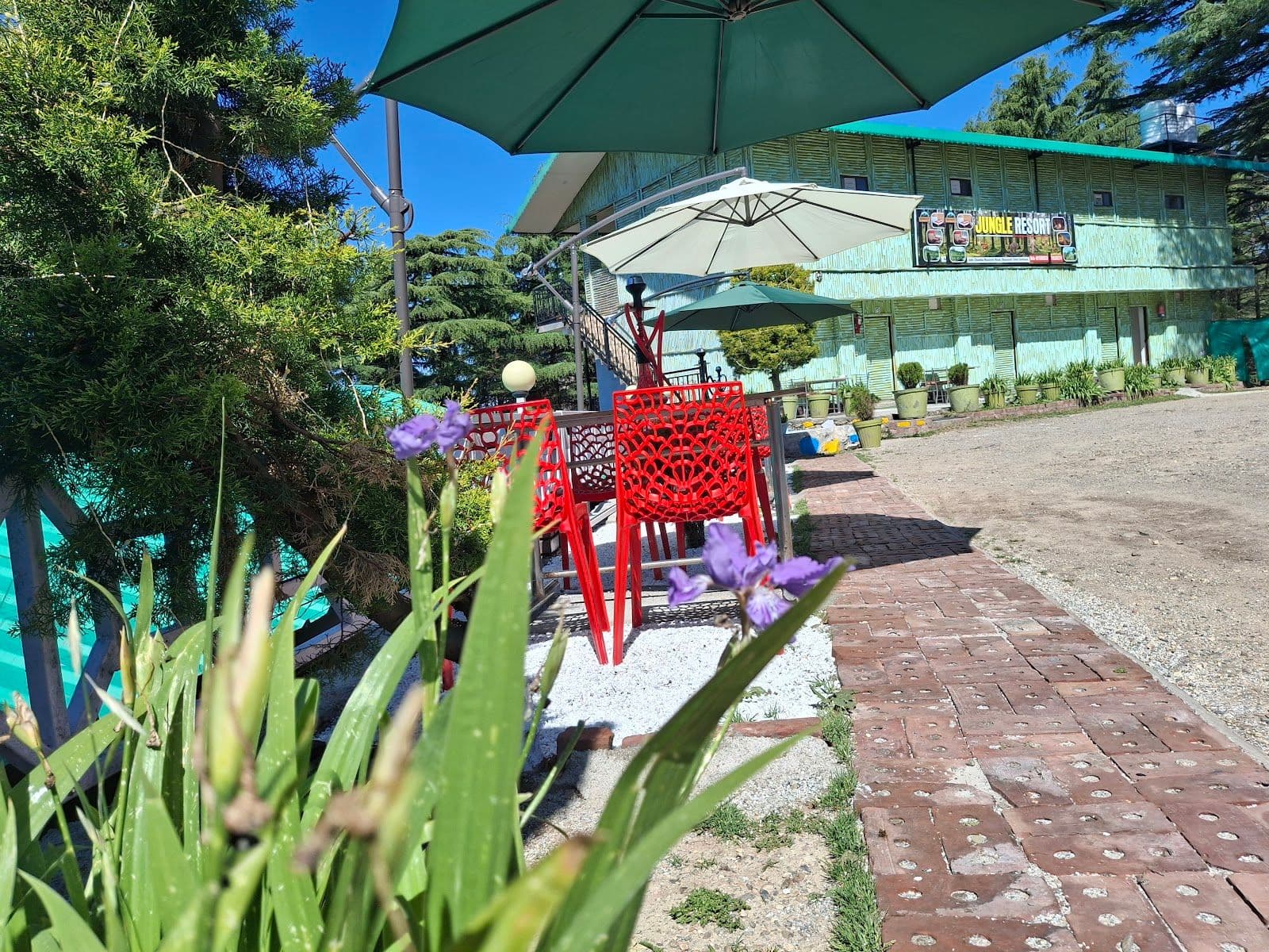Sunset View Homestay w/ Forest Walks, Uttarakhand in Uttarakhand 8