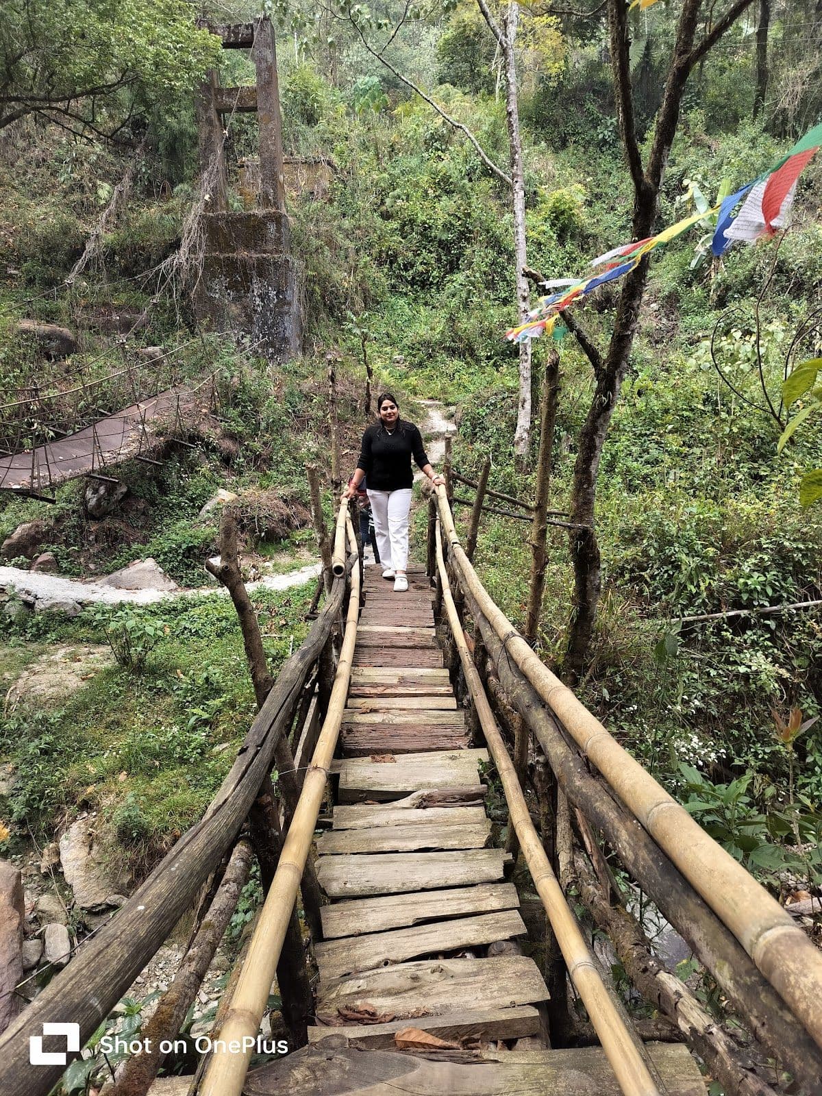 Valley View Homestay w/ Cardamom Garden, Sikkim in Sikkim, Lingtam 8