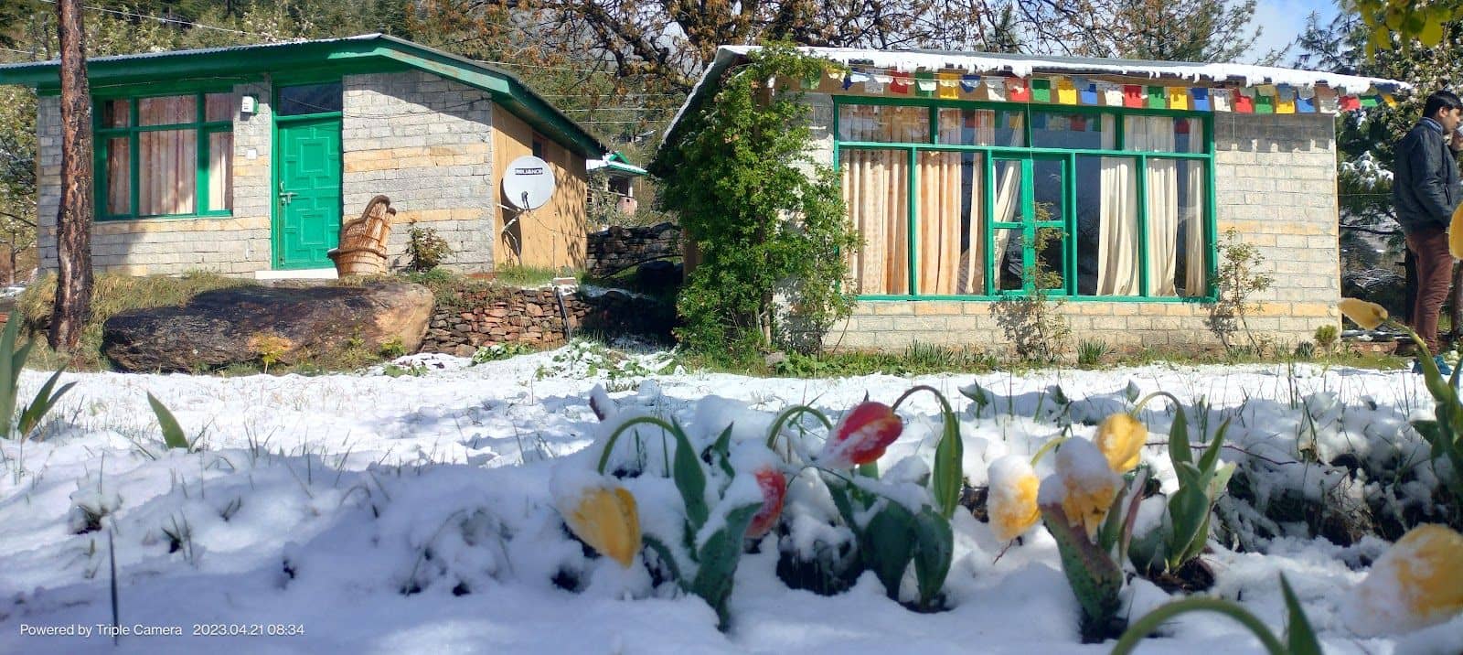 Cottage w/ Apple Garden & Bonfire, HP - Himachal Pradesh