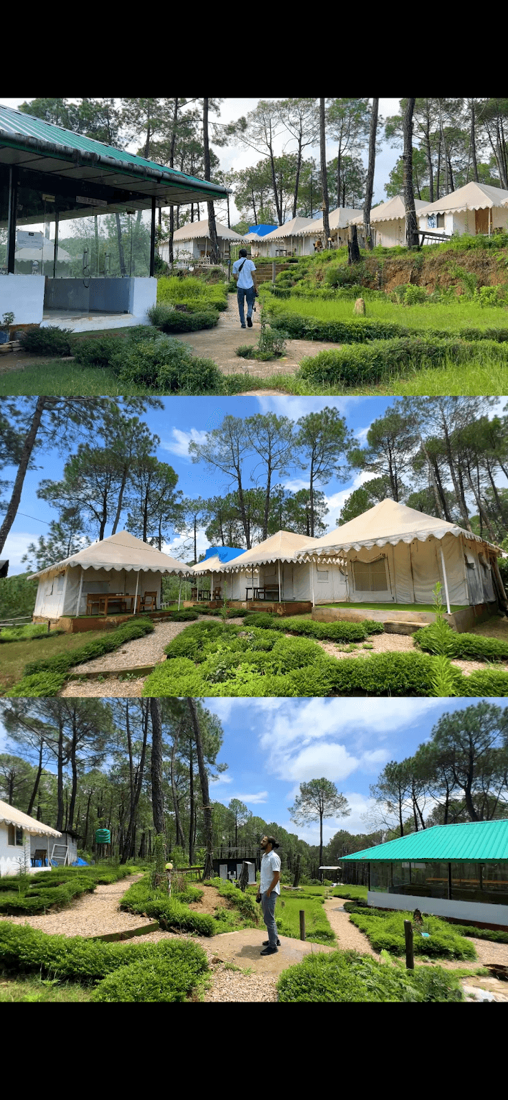 Pine Forest Cottage w/ Nature Walks, HP - Bir, HP photo 4