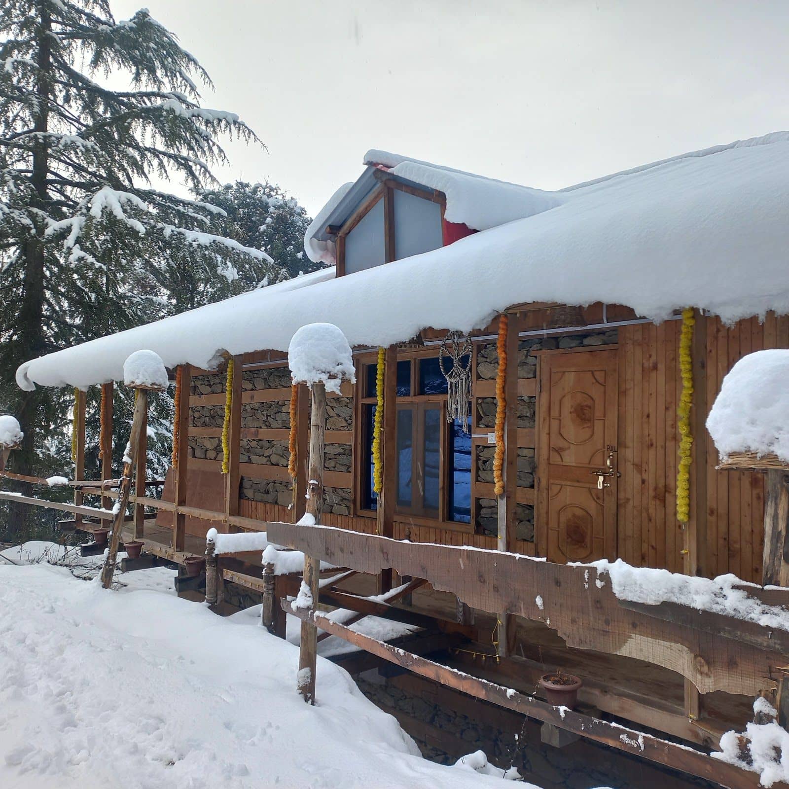 Family Homestay w/ Home Meals & Treks, HP - Shangarh, Himachal Pradesh photo 5