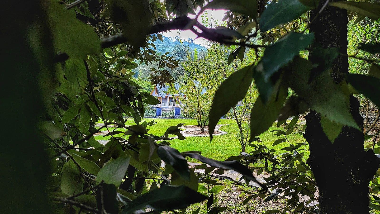 Pine Forest Cottages w/ Nature Walks, HP in Rajgarh, HP 8