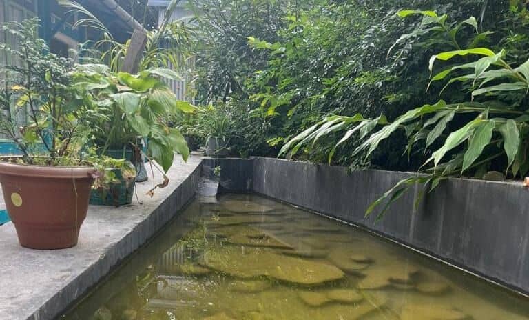 Authentic Meghalaya Homestay Local Charm - Shillong photo 5