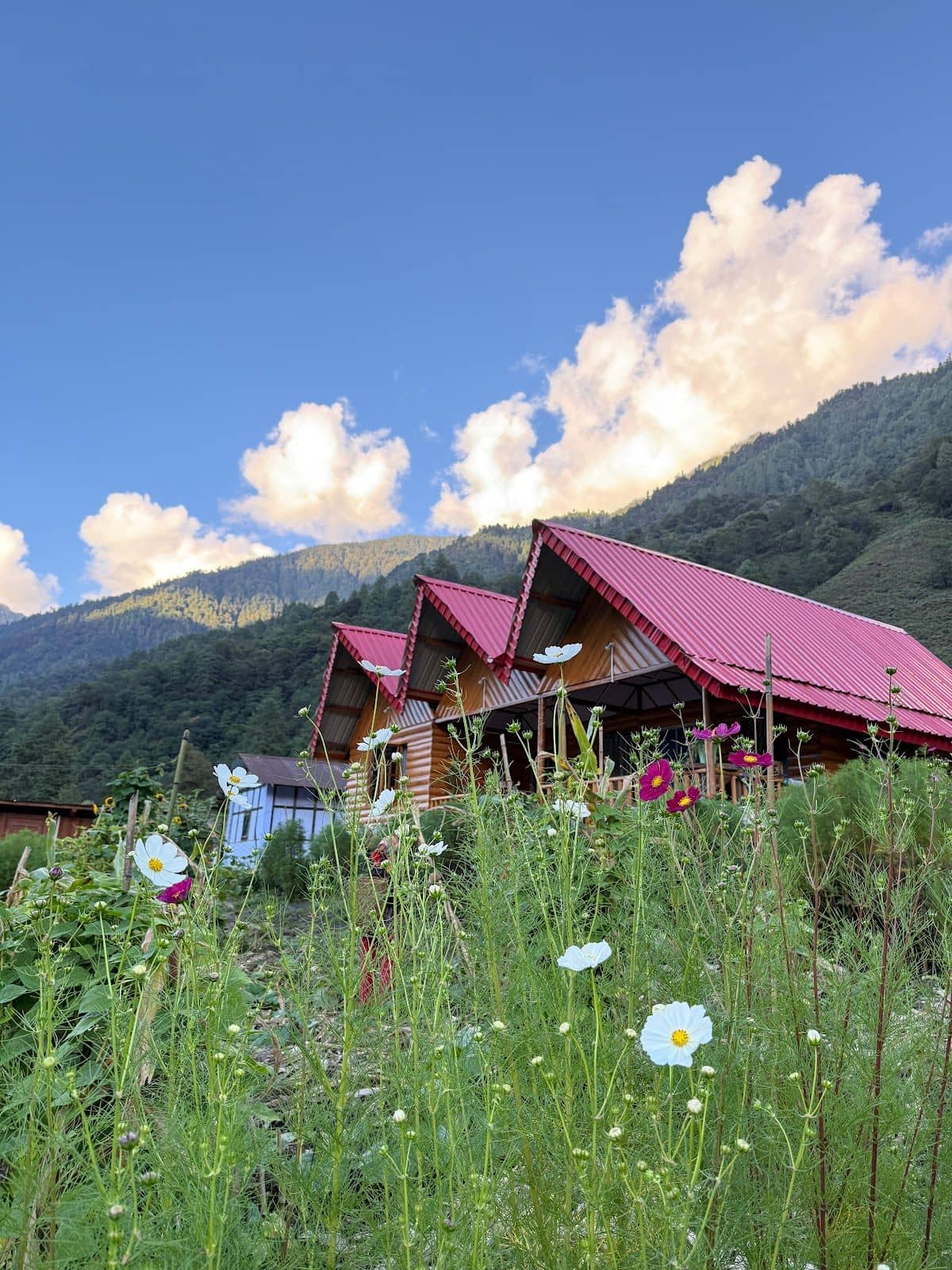 Wooden Cabins w/ Mountain Views & Garden - Anini, Arunachal Pradesh photo 5