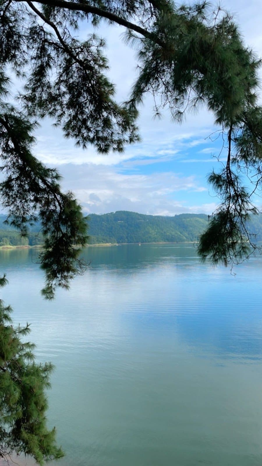 4BR Lakeside Suite Rooms w/ infinity pool in Umiam 8