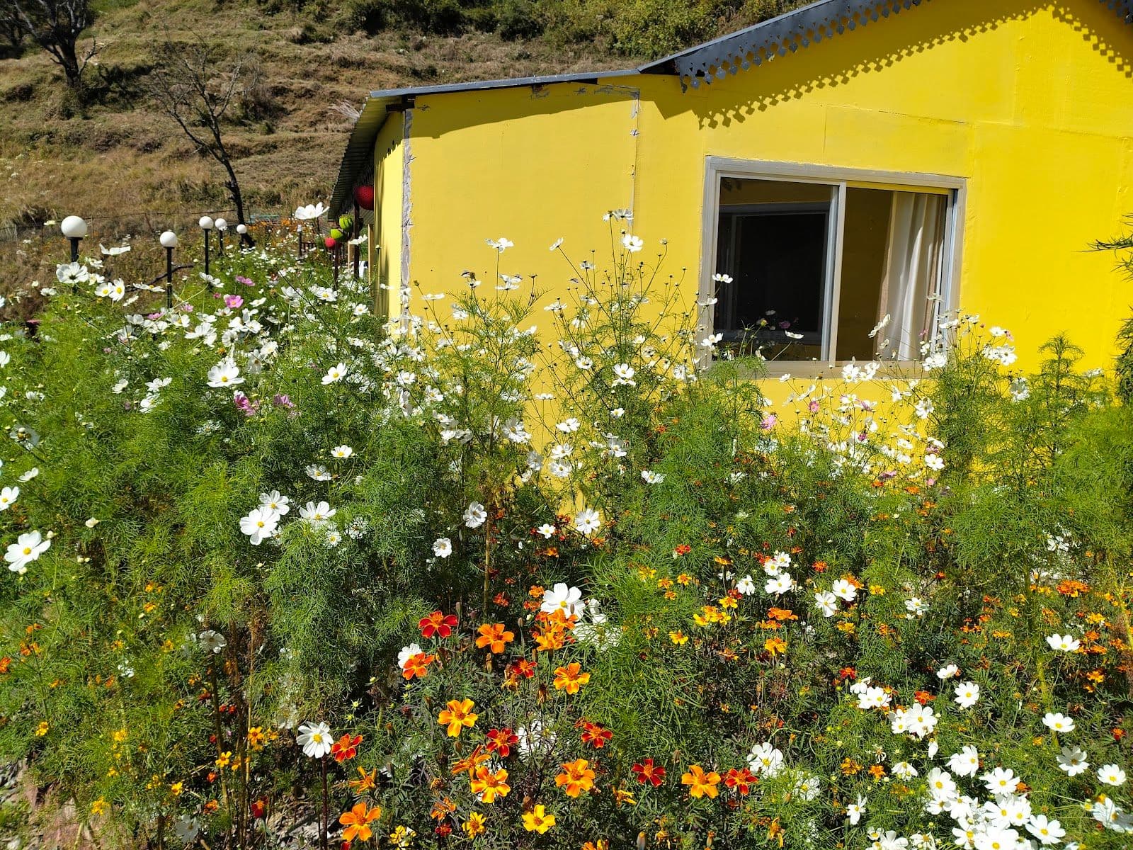 Peaceful Cottages w/ Winter Line Views, Uttarakhand in Uttarakhand 8