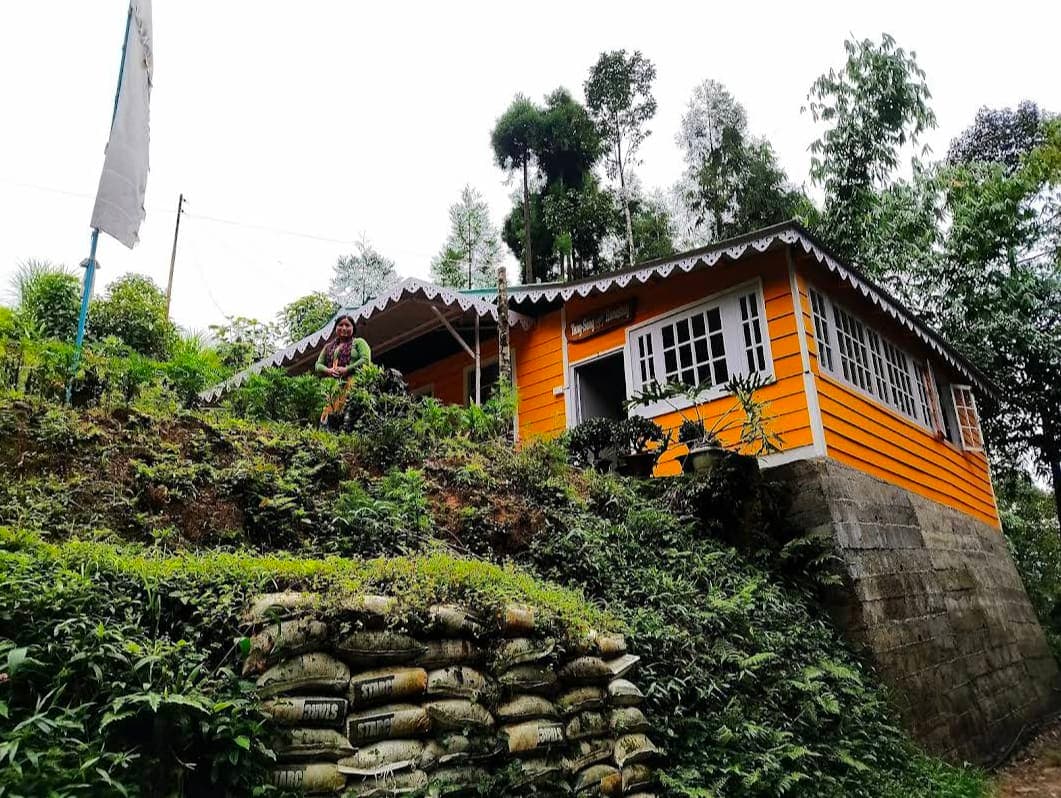 Perfect blend of Tea garden and Kanchenjunga in Mim Tea Garden 8