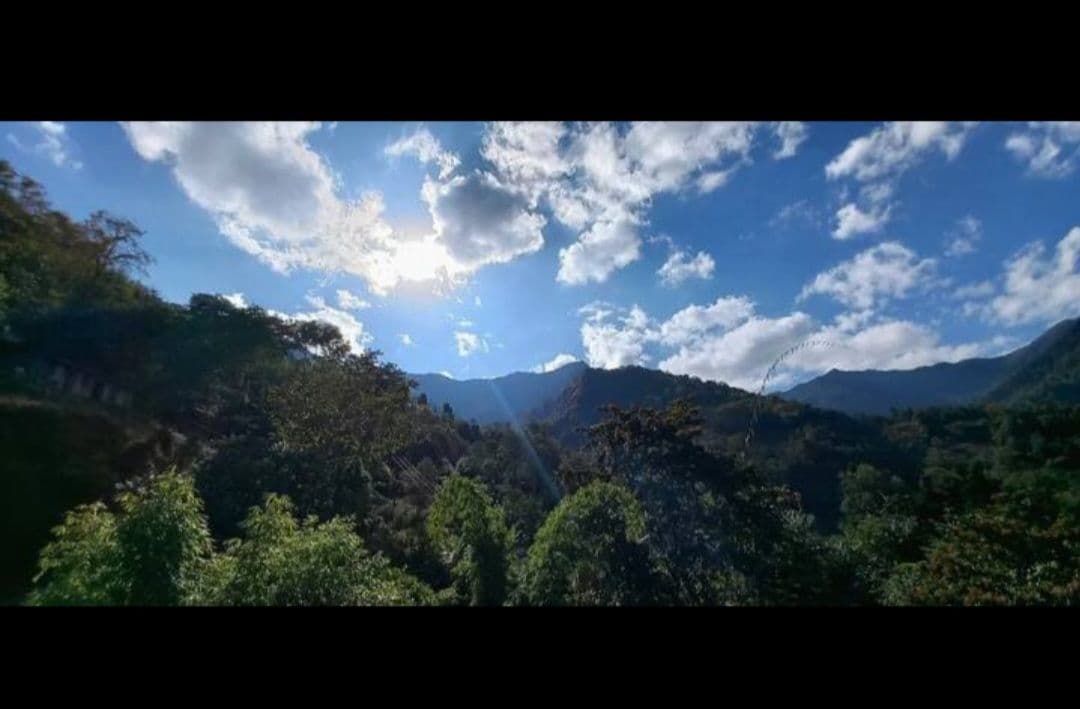 Best Homestay nr Heritage Village, NE in Kohima 8