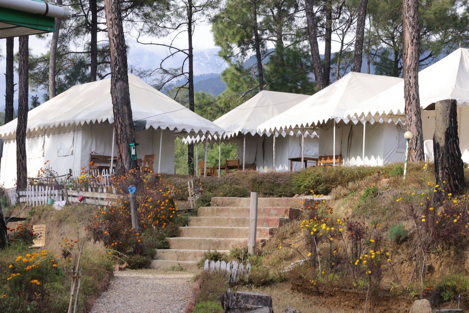 Pine Forest Cottage w/ Nature Walks, HP - Bir, HP photo 5