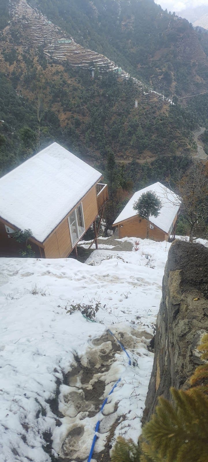 Himalayan View Cottage w/ Home Meals, Uttarakhand in Uttarakhand 8