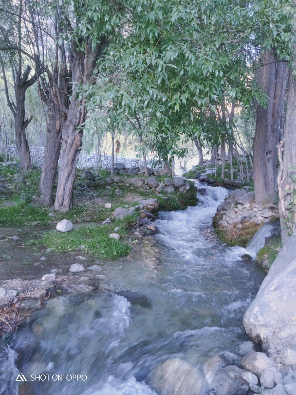 Waterfall Homestay w/ Fort Views, Gilgit-Baltistan - Khaplu, Gilgit-Baltistan photo 5