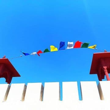 Heritage Homestay w/ Home Meals & Pets, Haryana in Shimlipur, Haryana 8