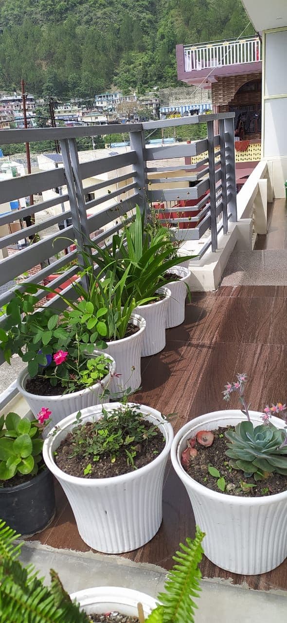 Homestay w/ Home Meals & River Access, UK in Uttarkashi, Uttarakhand 8