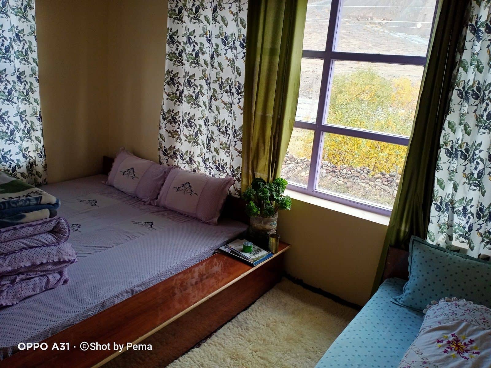 Mountain Homestay w/ Home Meals & Views, HP - Dhar Dindi, HP photo 3