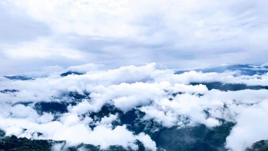 Homestay on Tea Estate w/ Home Meals, Sikkim - Sikkim photo 5