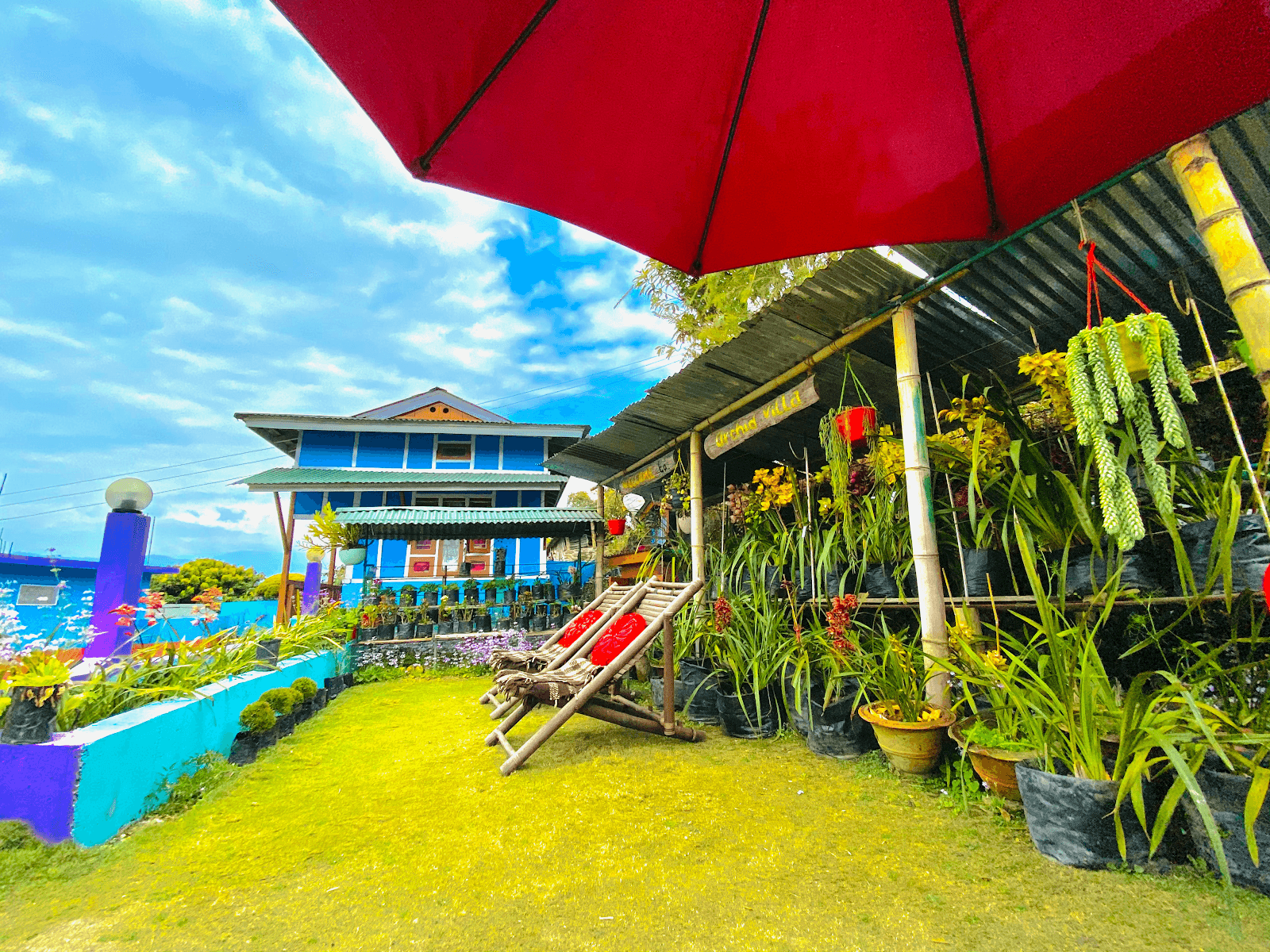 Silence & Peace Homestay w/ Mountain Views, Sikkim - Sikkim, Rinchenpong photo 5