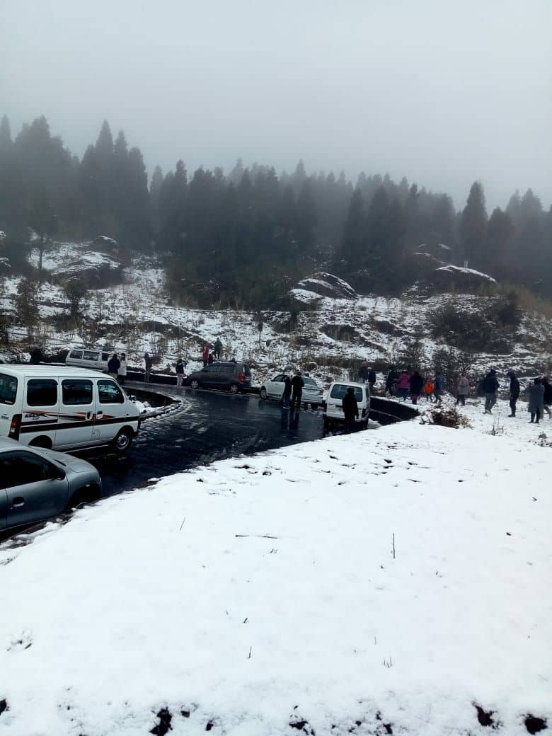 Viewpoint Homestay: Kurseong's Cloud-View Retreat - Kurseong photo 4