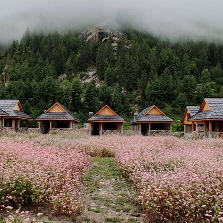 Hilltop Cottages w/ River & Peaks, HP in India 1
