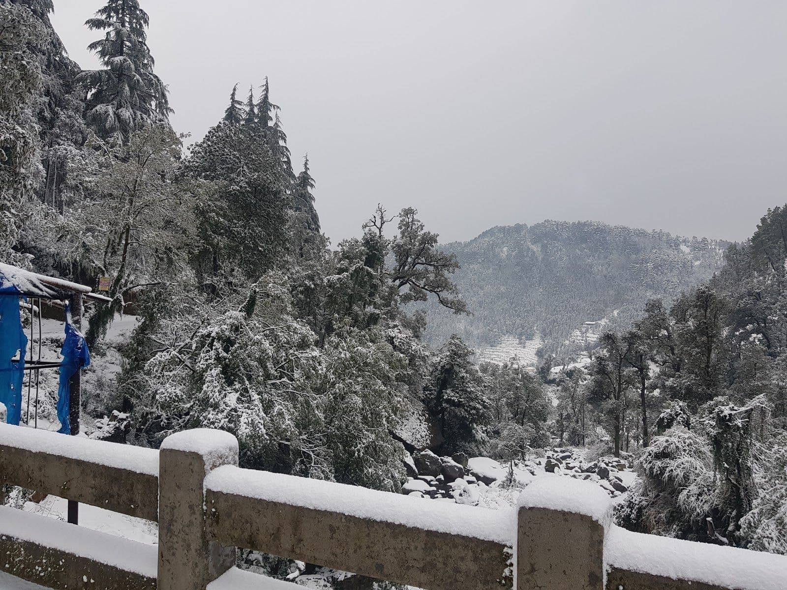 Mountain w/ Trek Access & Meals, HP in Kareri Khas, HP 5