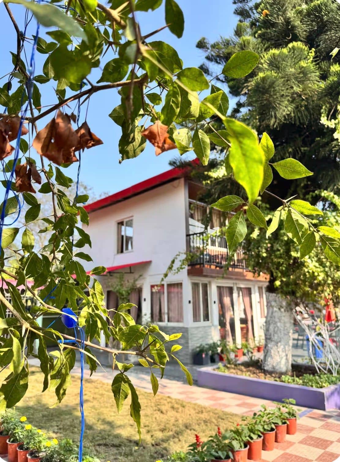 Peaceful Homestay w/ Homely Environment, Assam - Tinsukia