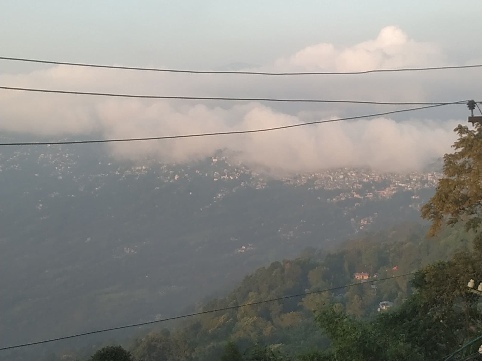 Mountain View Homestay w/ Home Meals, WB in West Bengal 8