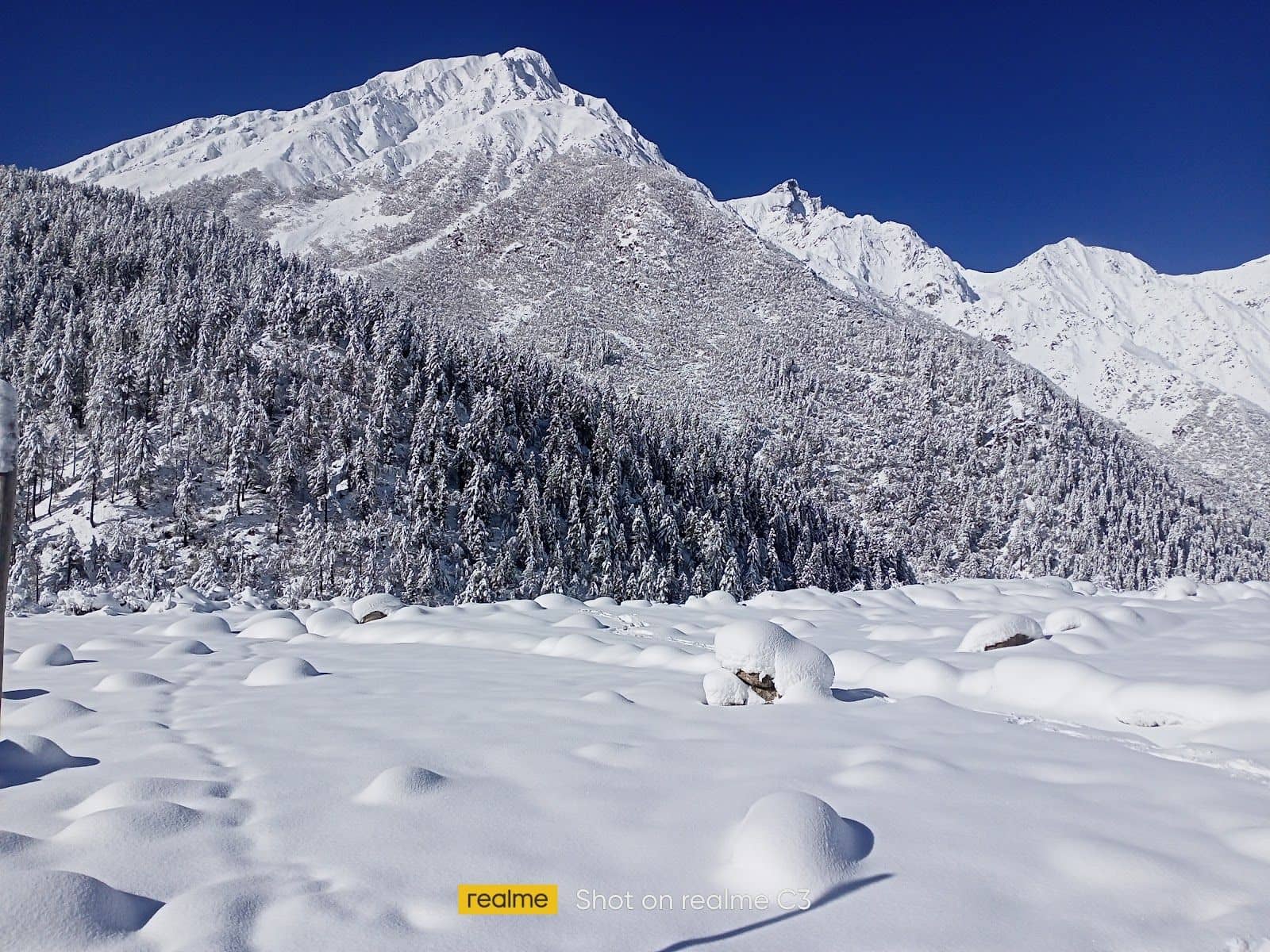 Riverside Homestay w/ Dorms & Tents, HP - Himachal Pradesh photo 4