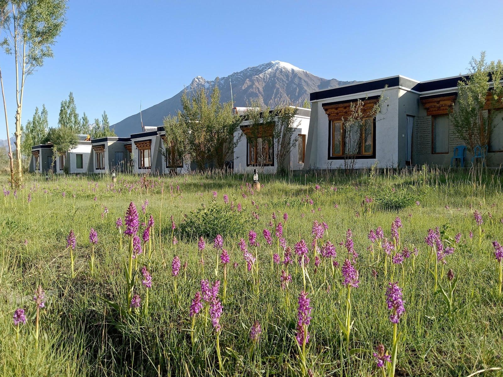 Organic Farm Cottages w/ Stargazing, Ladakh in Diskit, Ladakh 5