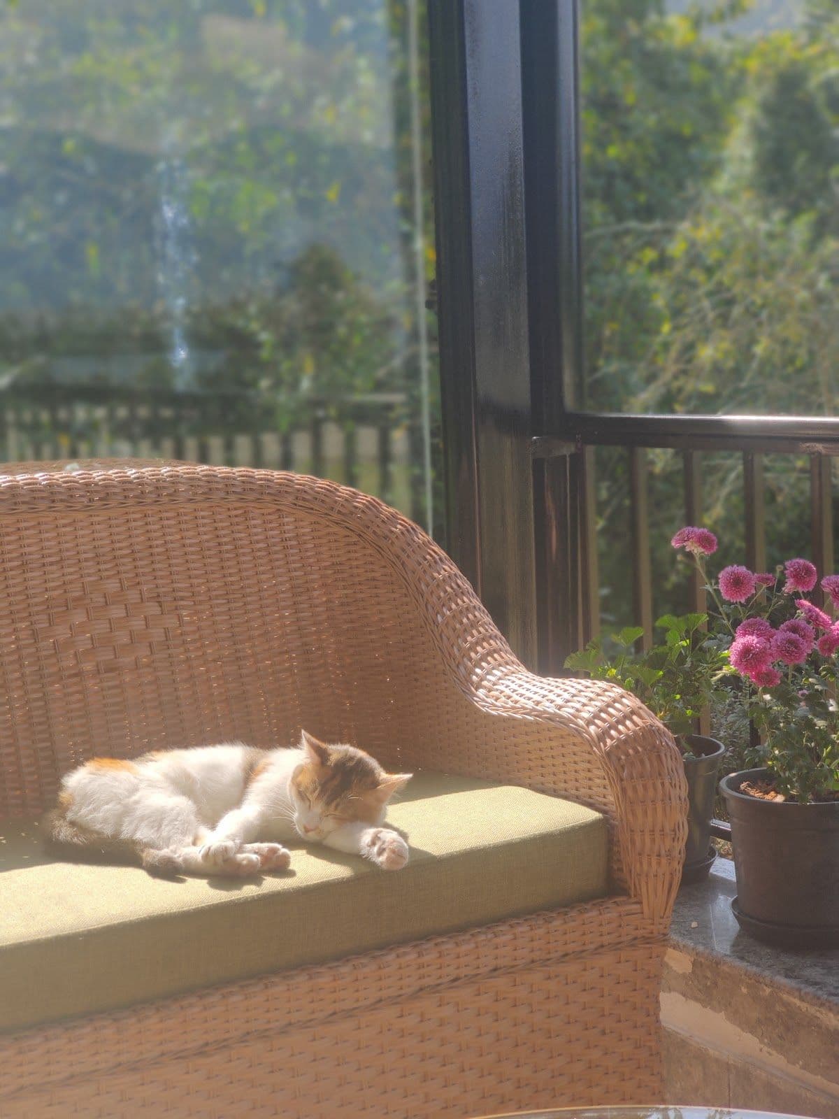 Luxe Country Villa with Modern Charm in Gangtok 8