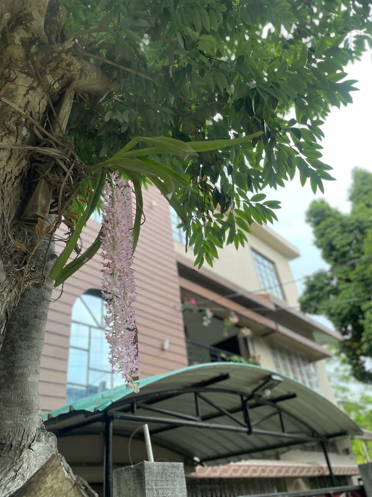 Spacious Suite w/Terrace & Kitchenette, Assam in Tezpur, Assam 1