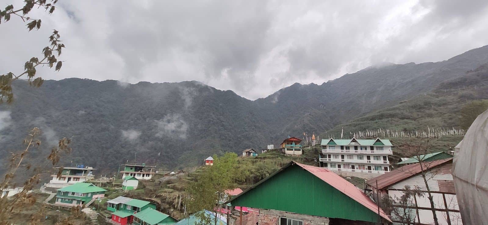 Mountain View Homestay w/ Homely Pets & Food - Sikkim