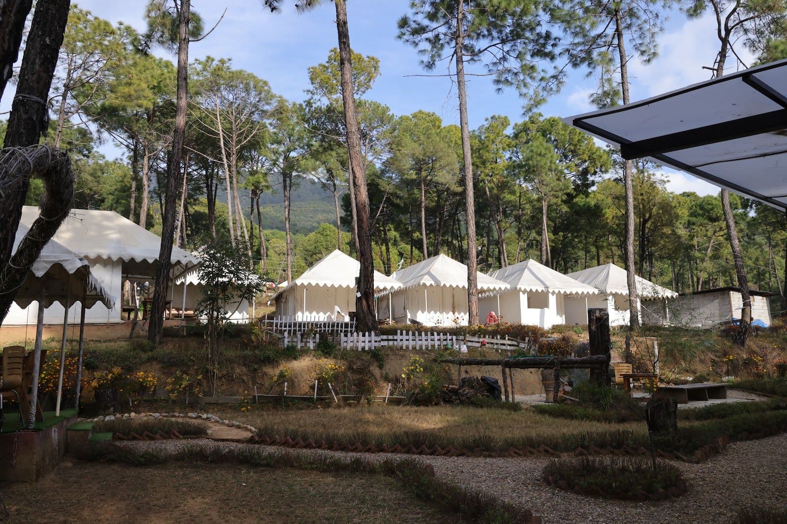 Pine Forest Cottage w/ Nature Walks, HP in Bir, HP 1