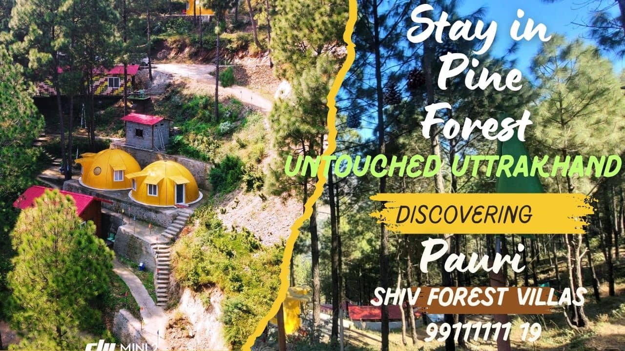 Forest Villas w/ Pine Trees & Bonfires - Pauri, Uttarakhand photo 5