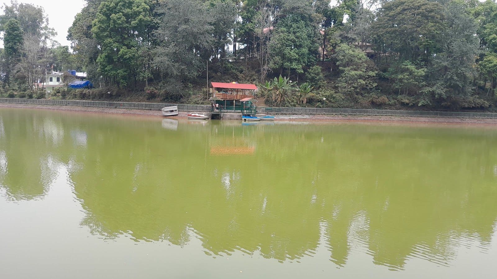 Mountain View Homestay w/ Homely Pets & Food in Sikkim 2