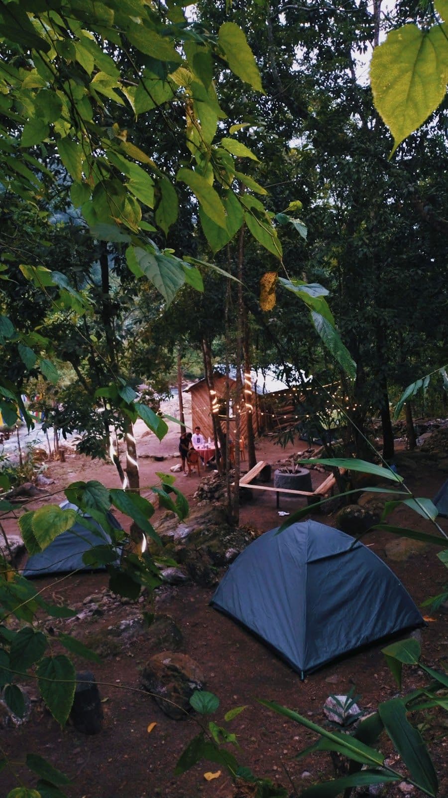 Serene Camping Retreat with Stunning Views in Mirik 8