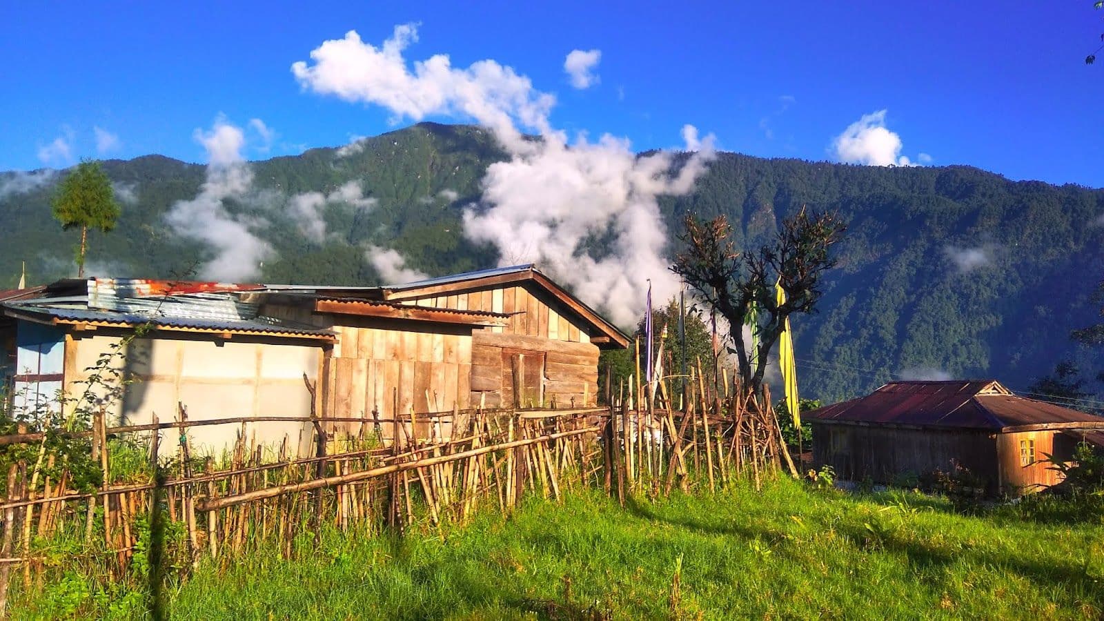 Serene Hilltop Haven in Sikkim 1