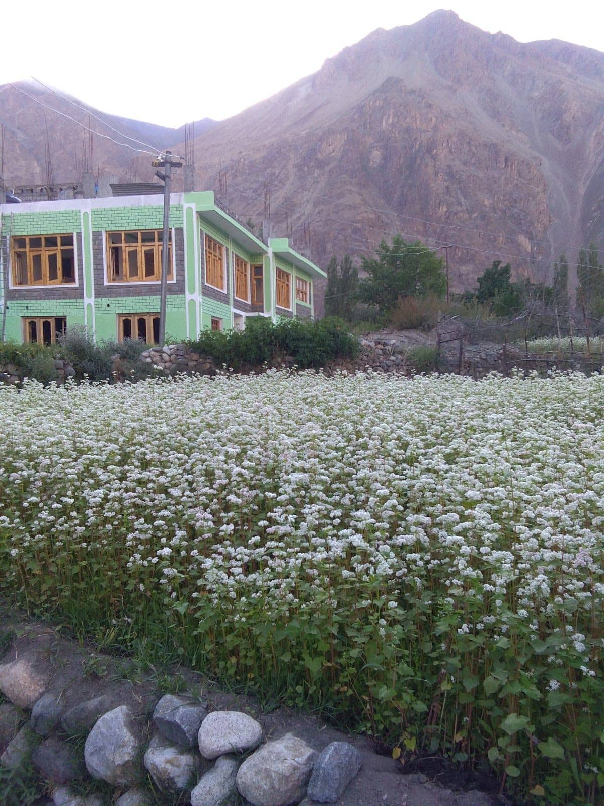 Garden Homestay w/ Mountain View & Walks, HP - Turtuk, HP photo 4