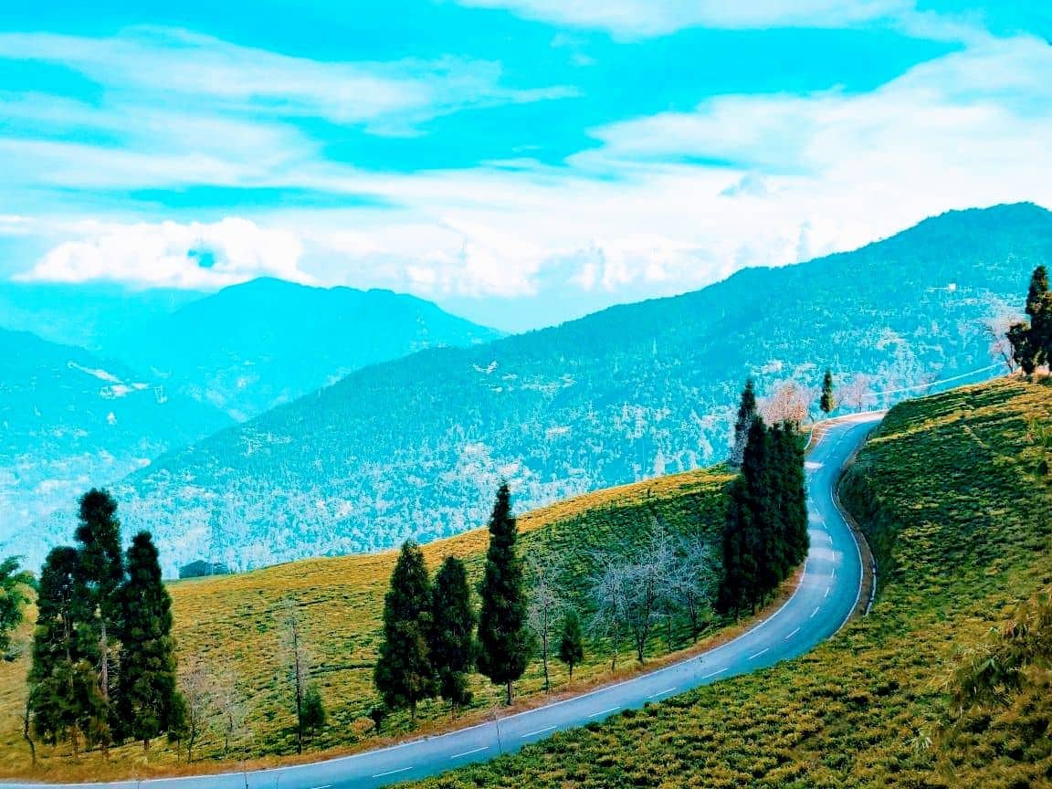 Homestay on Tea Estate w/ Home Meals, Sikkim - Sikkim photo 4