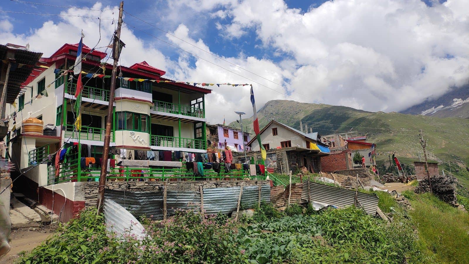 Organic Farm Homestay, Home Meals & Treks, HP - Killar, HP