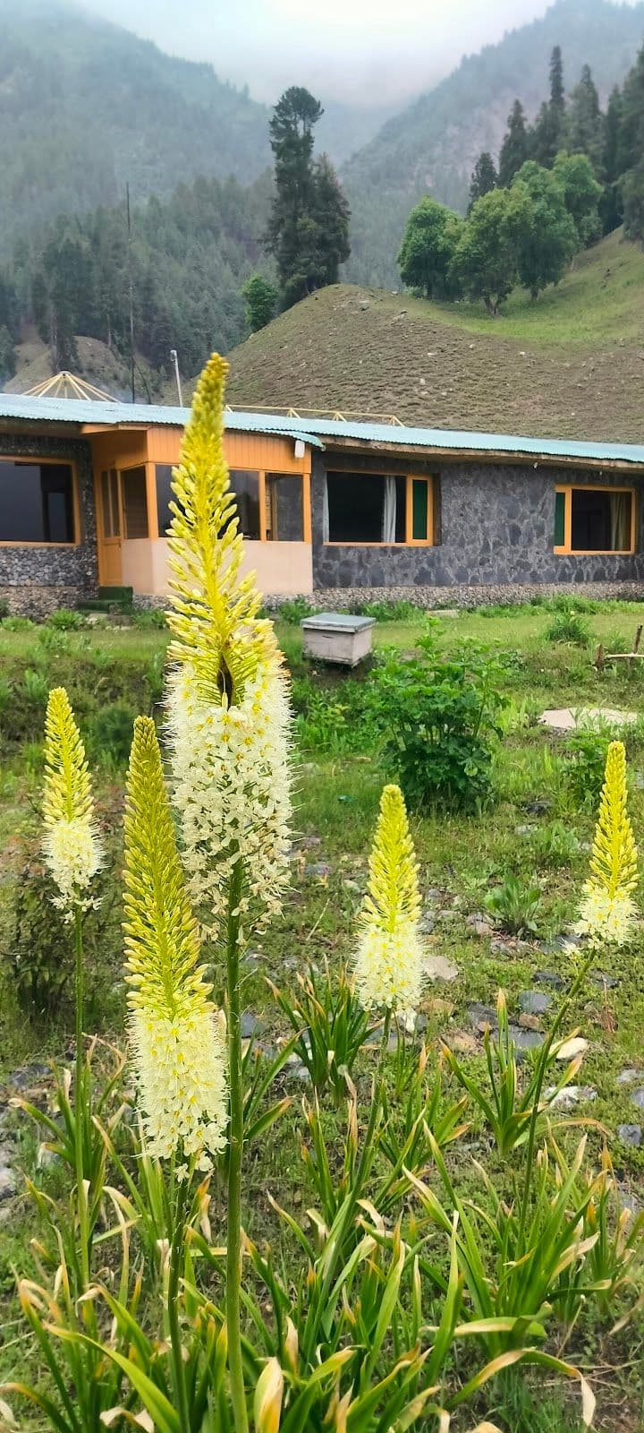 White River Villa w/ Mountain Views, Kashmir in Kashmir 8