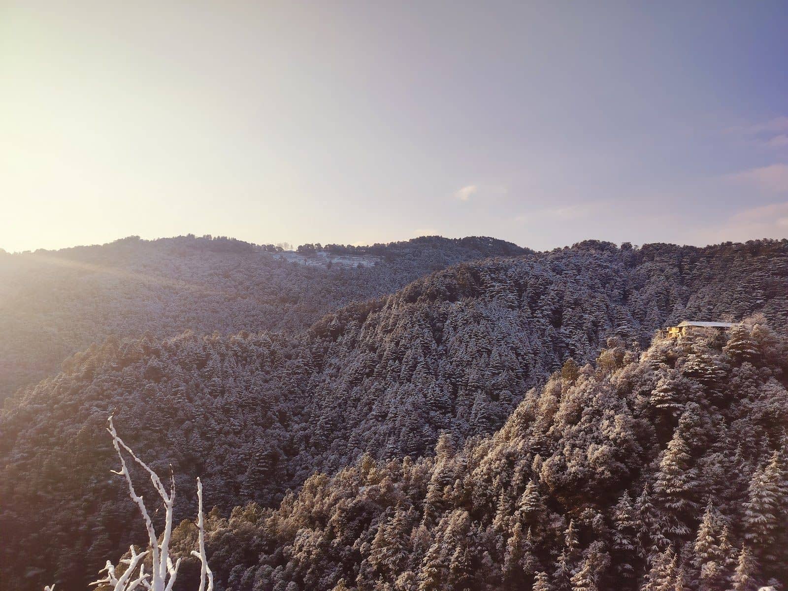 Mountain Resort w/ Sunrise Views, HP - Chail, HP photo 5